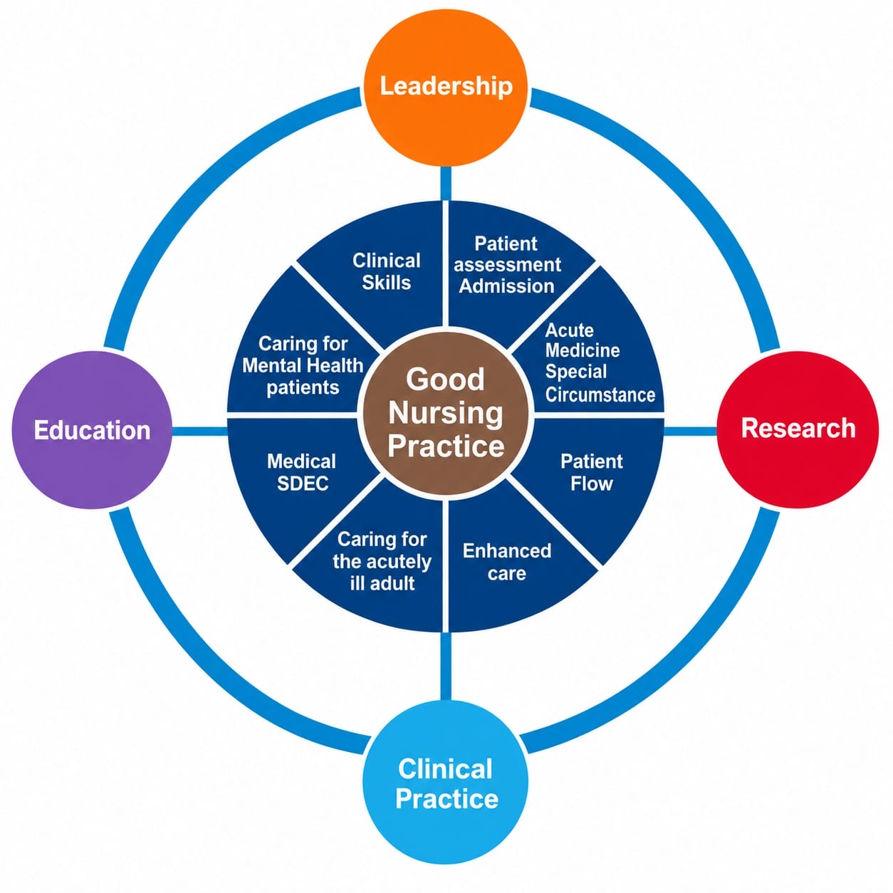 Acute Medicine Career and Capability Framework for Nurses