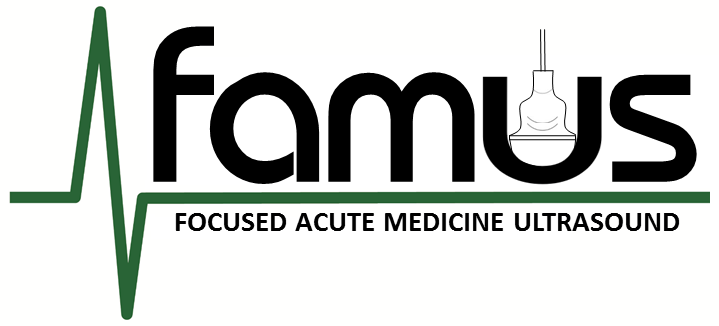 Draft FAMUS logo with tagline